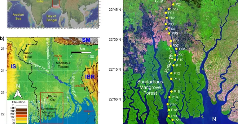 সুন্দরবনের নোনা পানির নীচে  মিঠা পানির সন্ধান